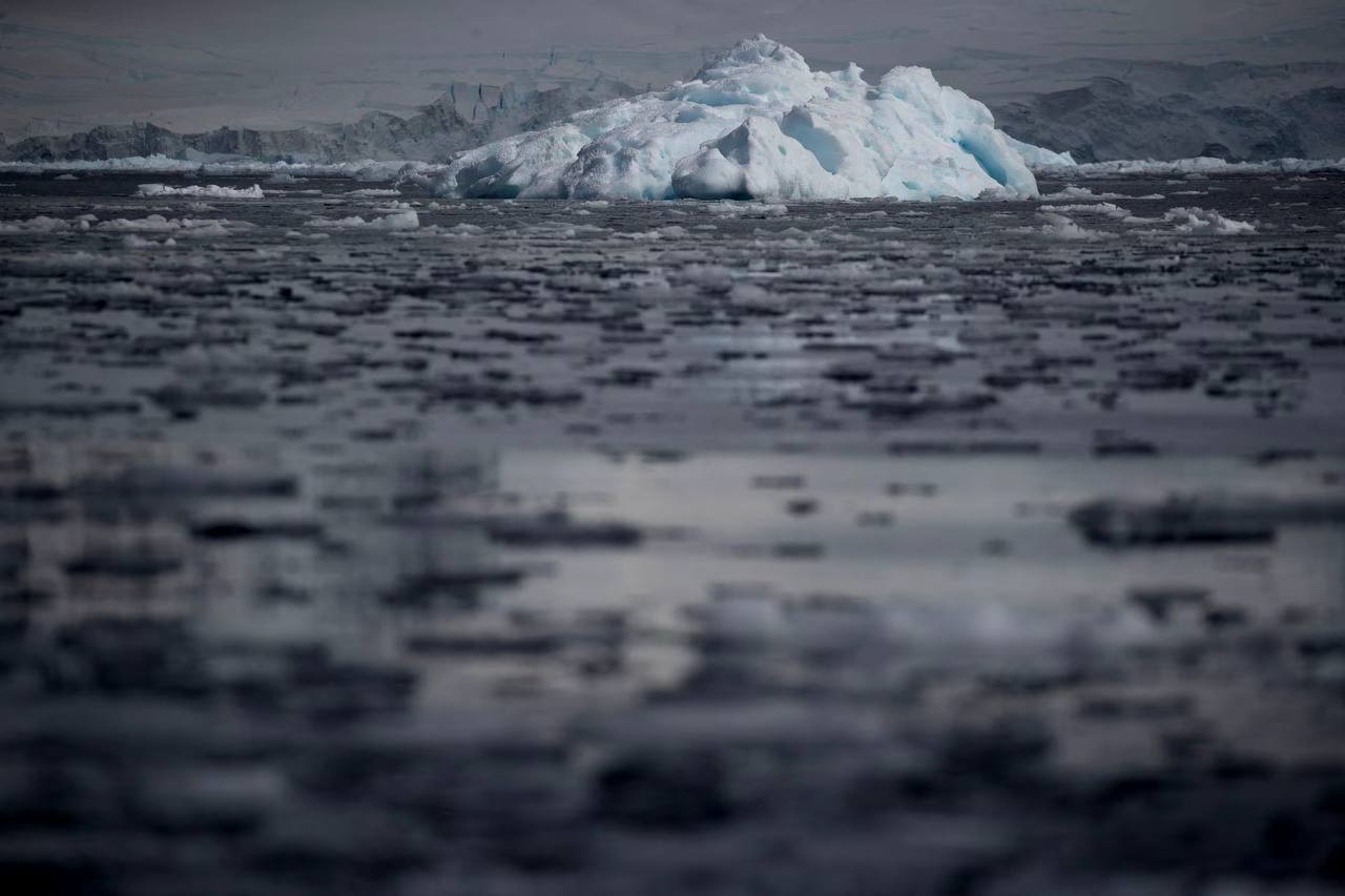 Antarctica's alarming sea ice decline signals climate change crisis: call for global action 